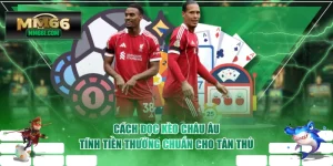 Cách Đọc Kèo Châu Âu & Tính Tiền Thưởng Chuẩn Cho Tân Thủ