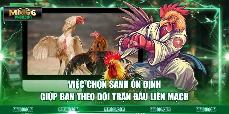 Việc chọn sảnh ổn định giúp bạn theo dõi trận đấu liền mạch